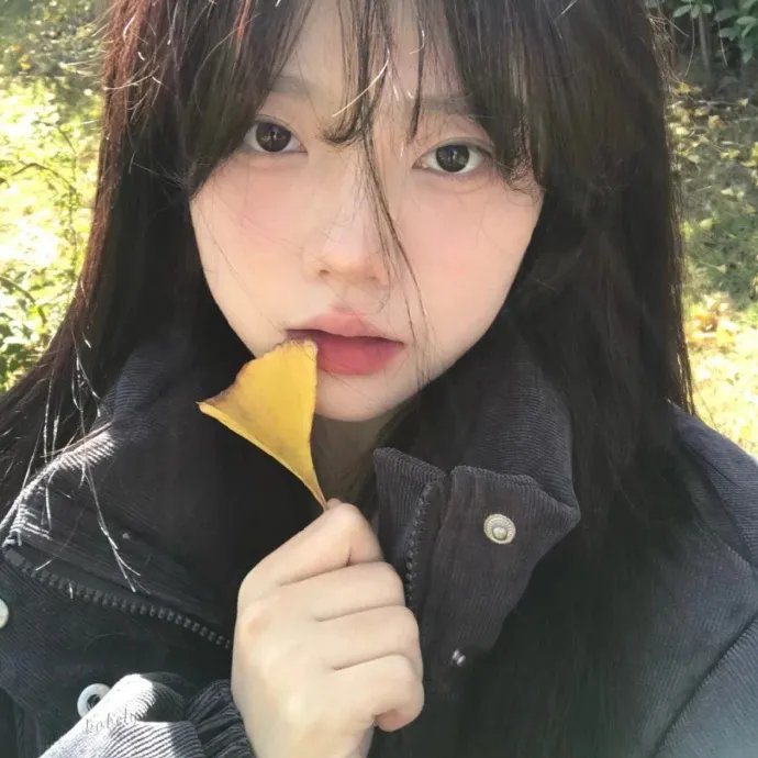 海鹰